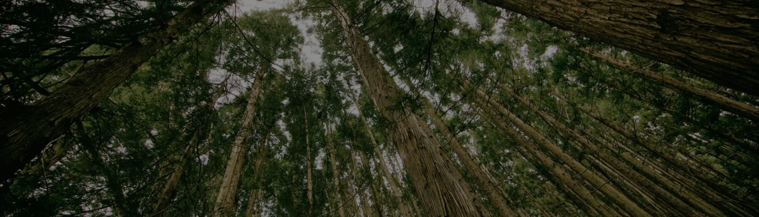 banner_biomasas_oscurecido3-scaled